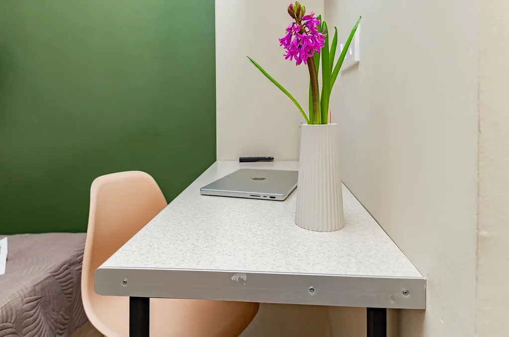 Квартира-студия в центре, 11,3 м², 1 кровать