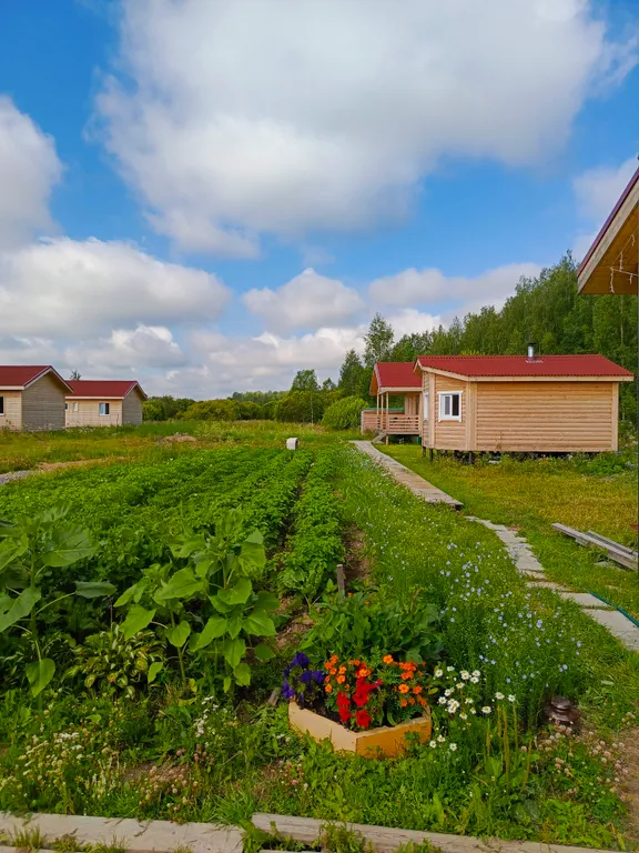 Коттедж Коттедж на базе отдыха Карловка — Чудово