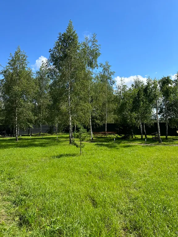 Дом с баней у водохранилища