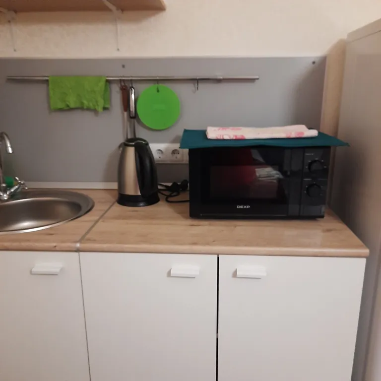 Cветлая студия с видом на Амур