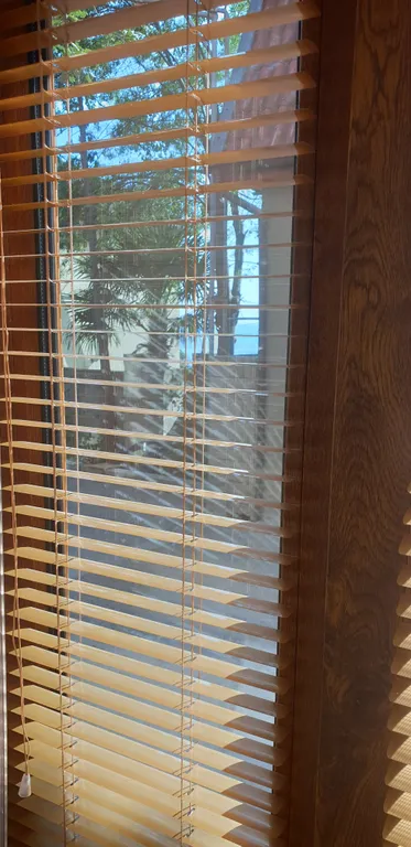 Квартира Львиный Домик