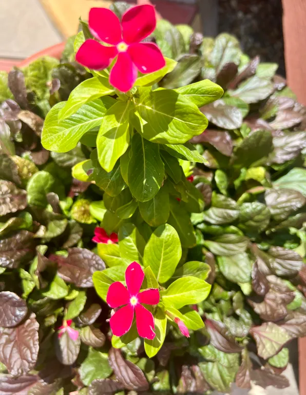 Уютный сруб 3 в центре станицы