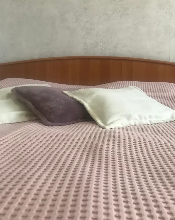 Уютная квартира в центре города вблизи острова Канта