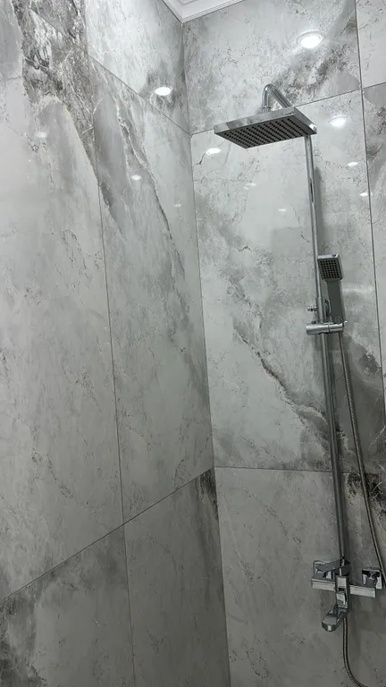 Люкс апартаменты в центре левого берега