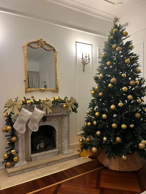 Квартира с видом на Неву