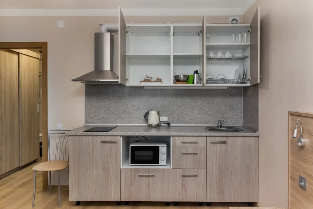 Квартира Уютная квартира рядом с НИИ им. Петрова — Песочный