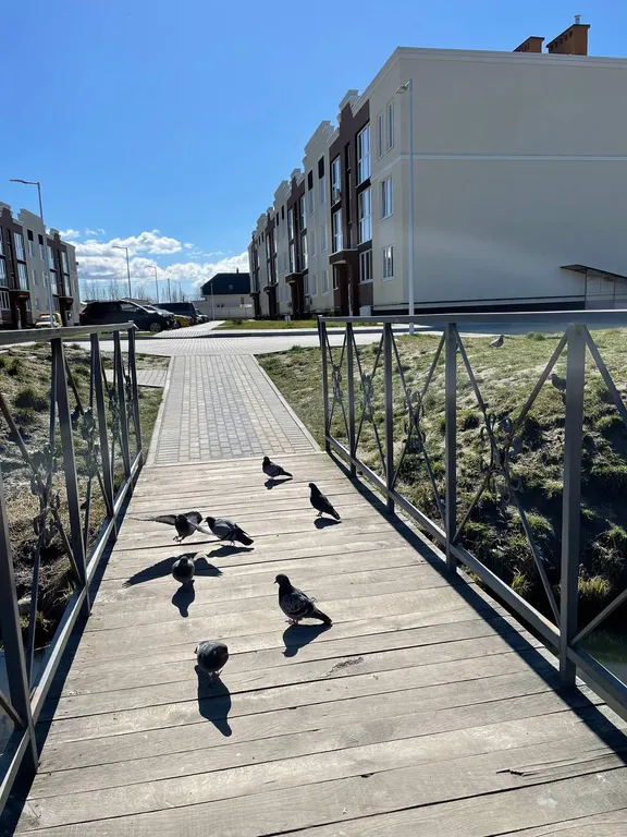 Квартира Квартира Апартамент Лофт у моря — Зеленоградск