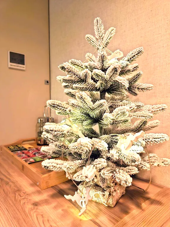 Квартира Современные апартаменты — Светлогорск