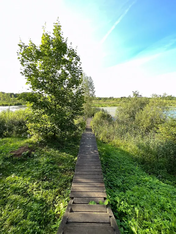 Деревенский домик на берегу озера