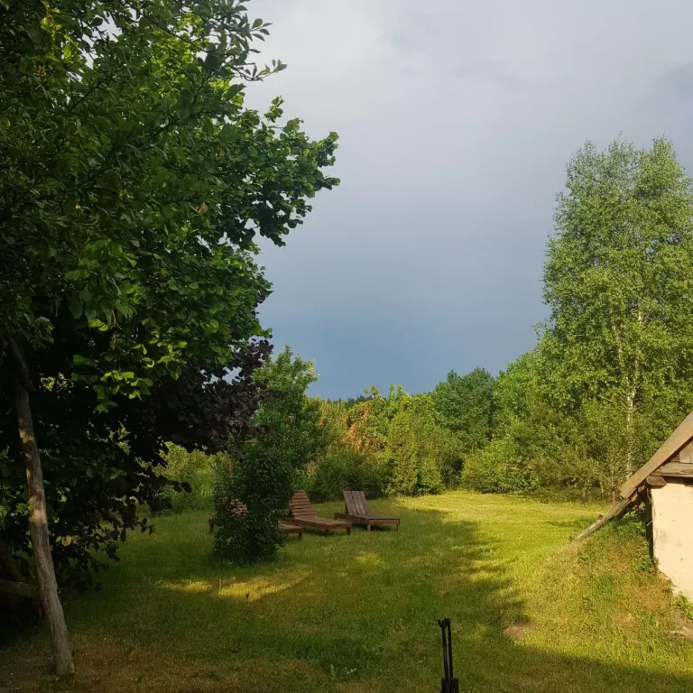 Уютный домик в Беловежской пуще, для тех, кто ценит тишину