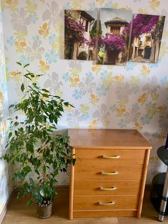 Комфортная и современная квартира в пешей доступности маутинбайк .