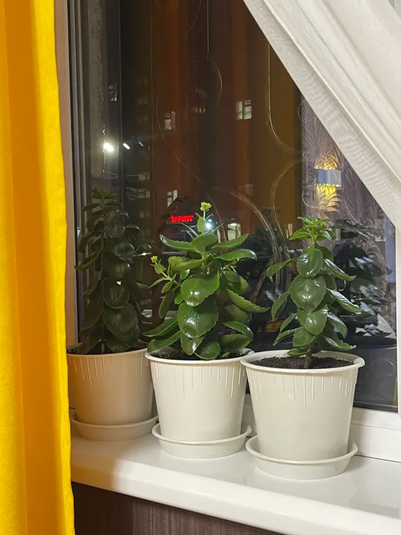 Уютная комната-студия в центре города