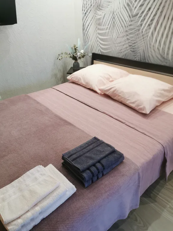 Студия с отдельной спальной зоной