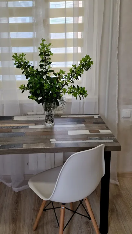 Квартира Квартира Уютный зелёный апартамент — Геленджик