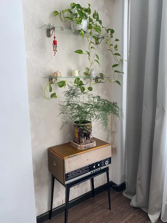 Уютная квартира на берегу моря