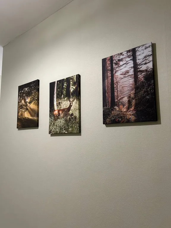 Школьная квартира