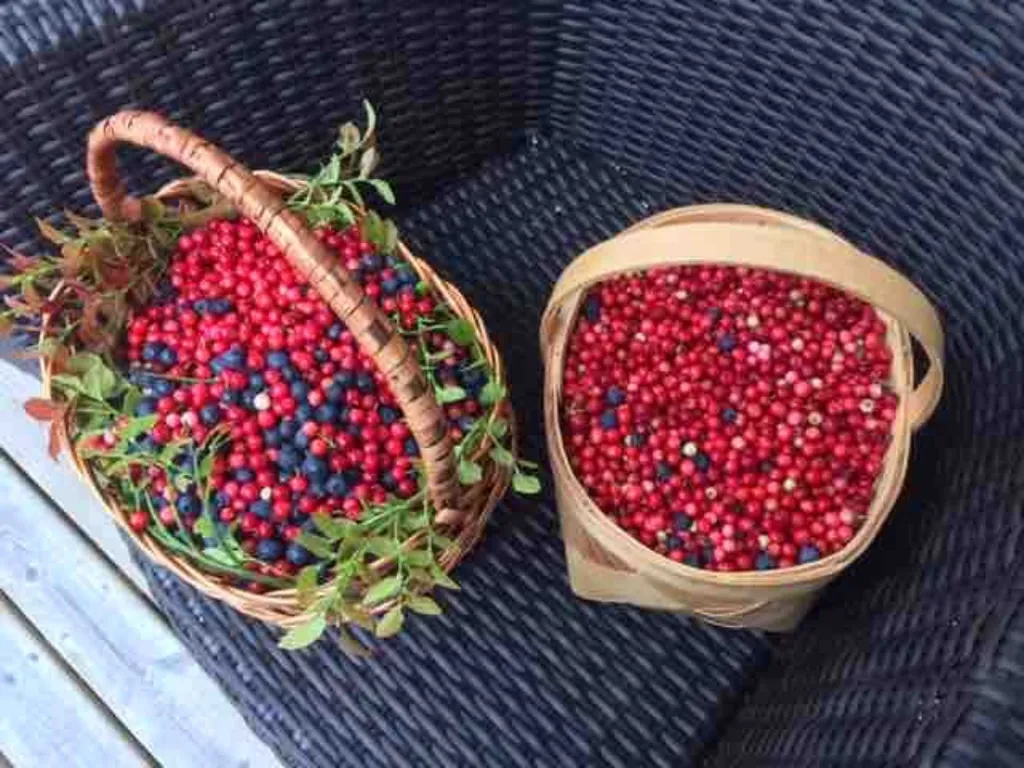 Уютный домик