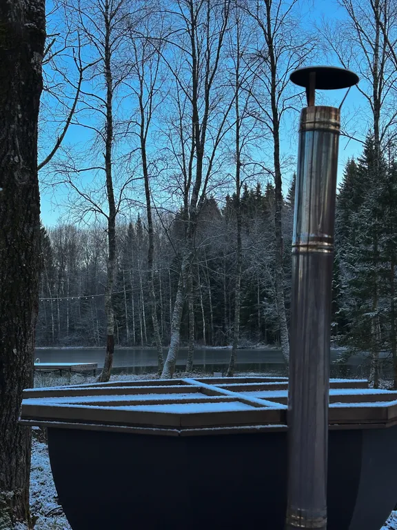 Уютный дом нa бeрегу лесногo озeра