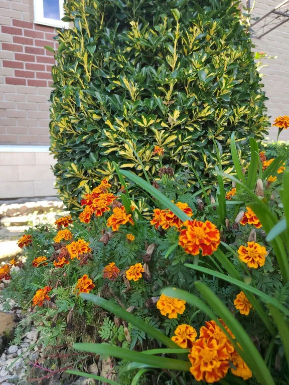 Коттедж Отдельная часть дома с беседкой рядом с парком и пляжем Учкуевка — Севастополь