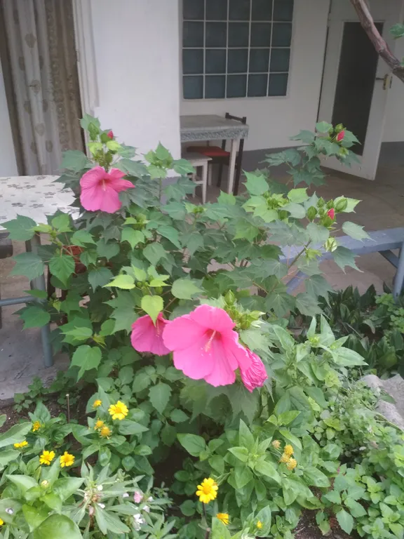 Комнаты в частном секторе