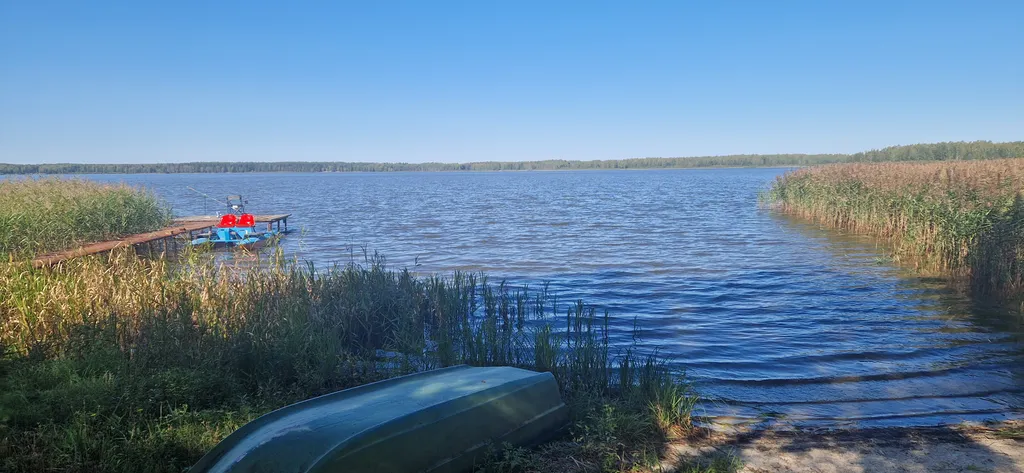 Отдельный дом на краю леса на берегу озера