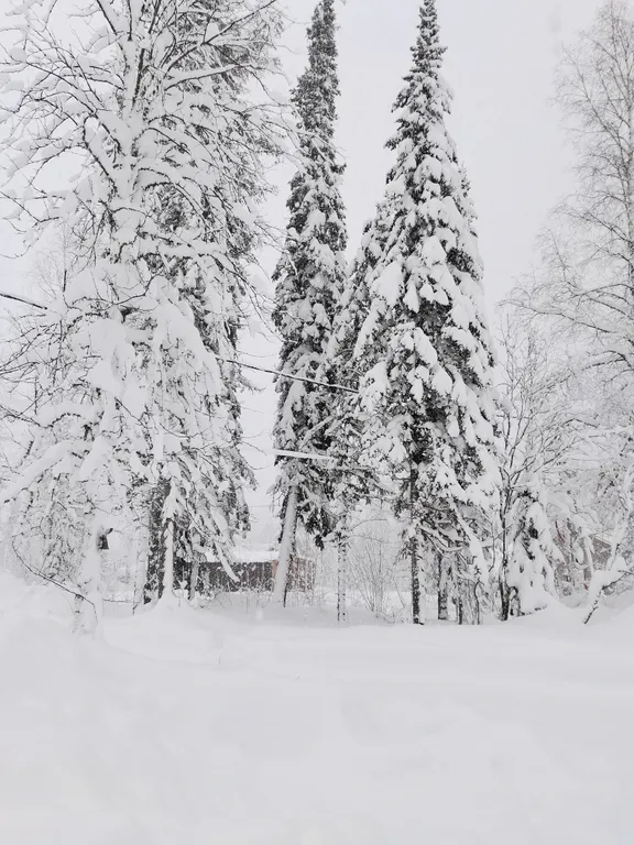 Коттедж Дом в стиле барнхаус — Шерегеш