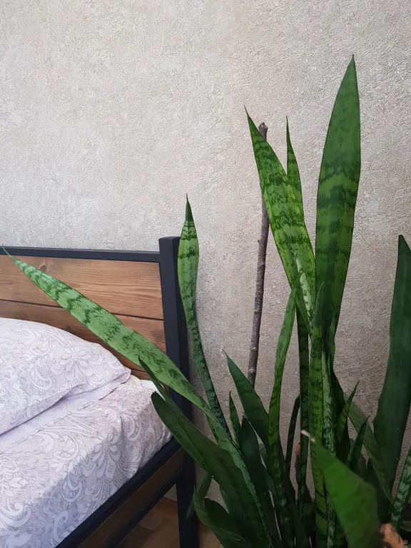 3-комнатная просторная квартира в центре с дизайнерским ремонтом