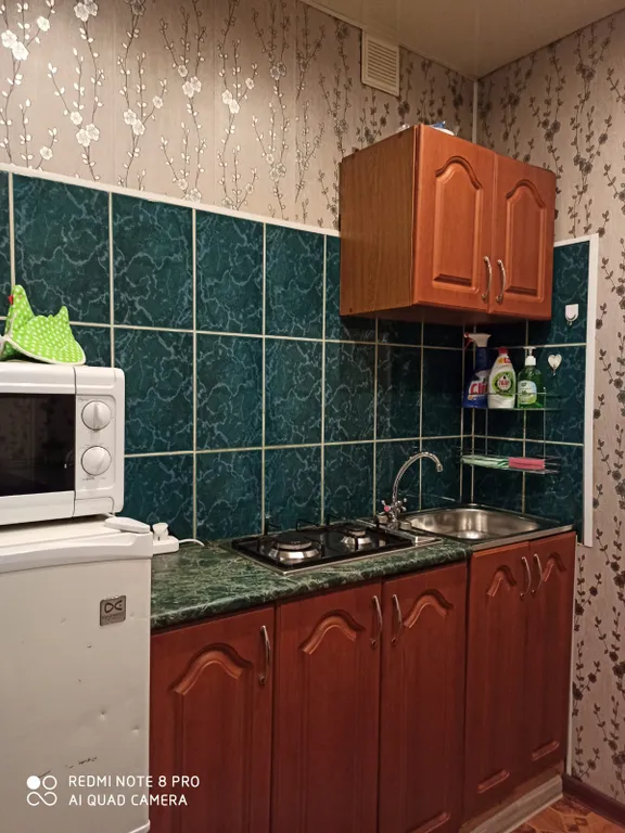 Уютная однокомнатная квартира