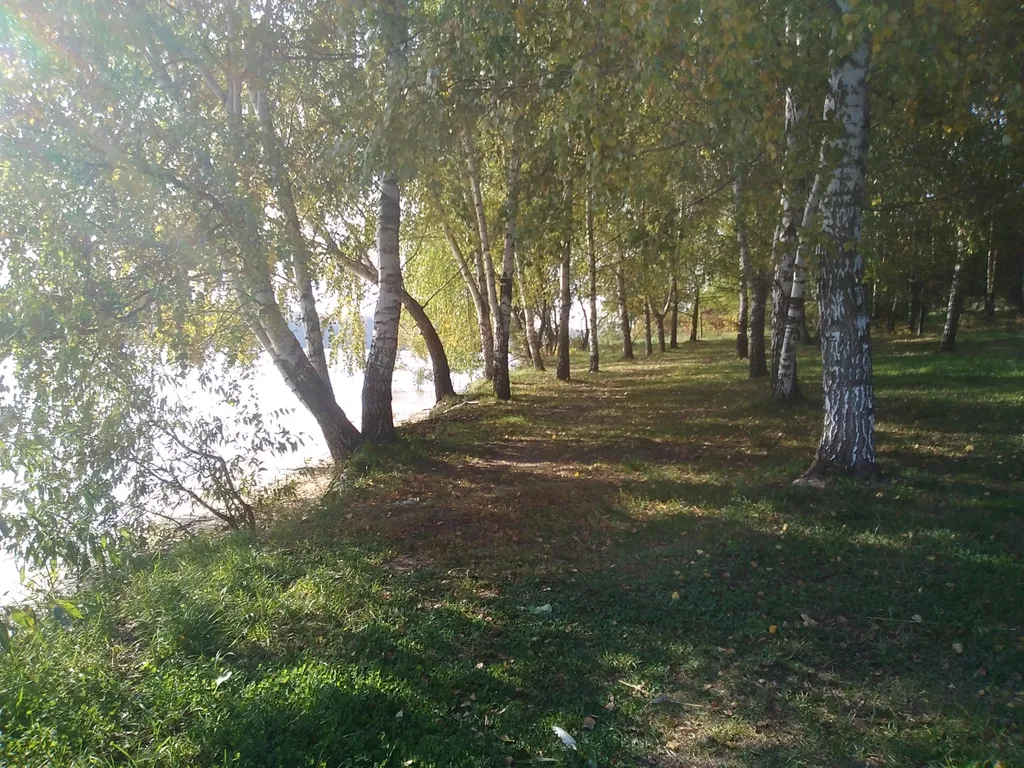 Коттедж Уютный домик на берегу водохранилища — Чиверёво