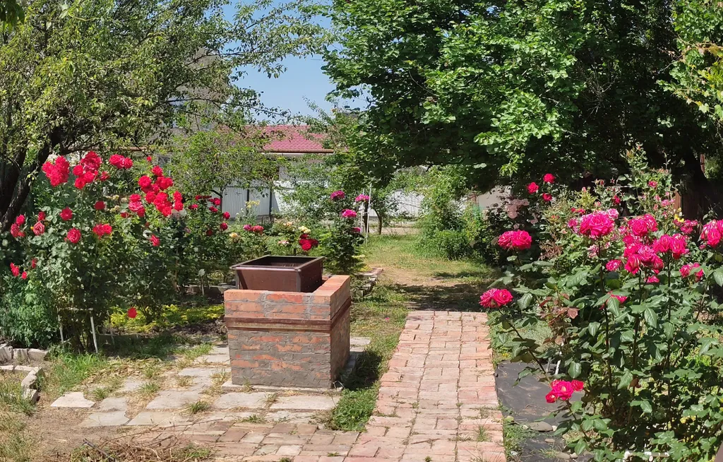 Коттедж 1-комнатный Дом — Ейск