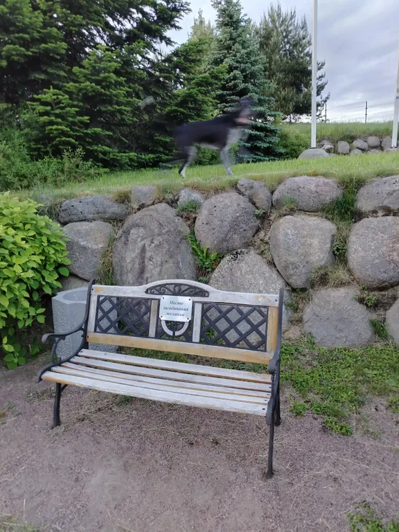 Уединенная часть дома с садом и барбекю