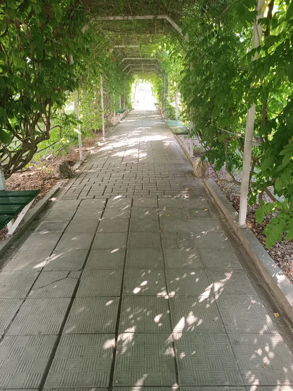 Видовые апартаменты