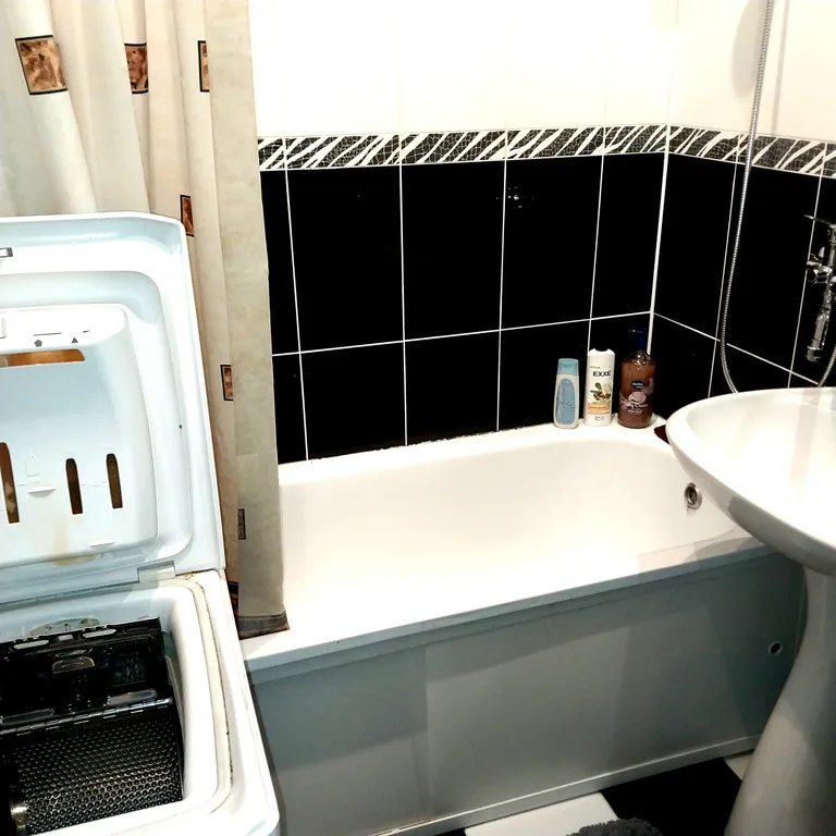 Квартира в новом доме с медведем