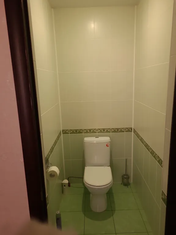 Просторный уютный дом