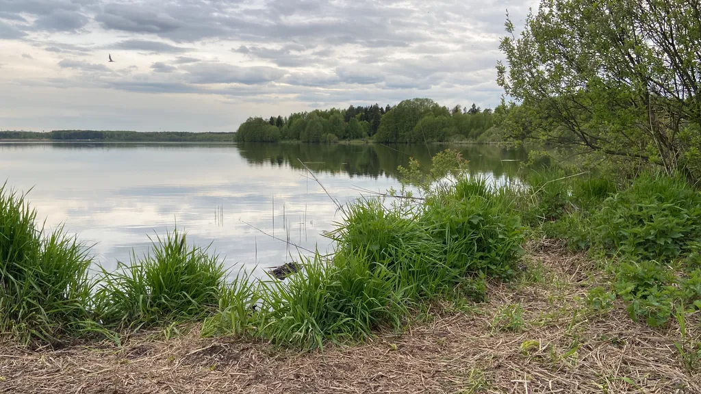 Чистая квартира в ЖК Новое Бисерово-2