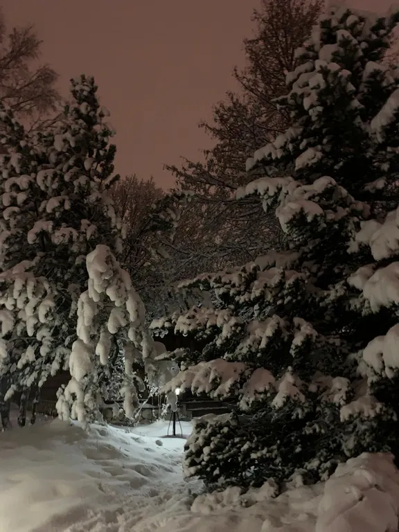 Уютный домик  с баней на природе