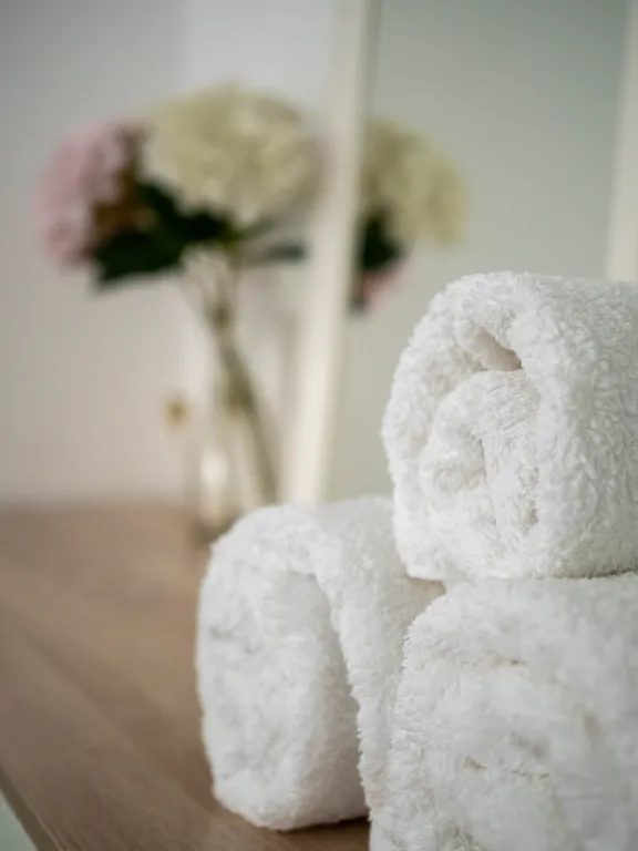 Central comfort квартира