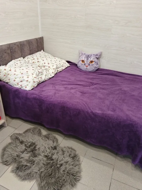 Квартира Квартира Гостевой дом " калинина 20 " номер люкс " 8н " — Ейск