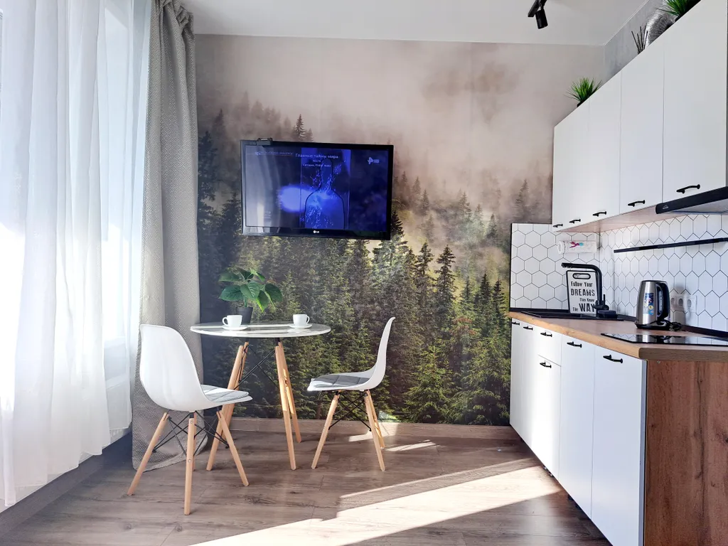 Студия с видом на Северную Двину