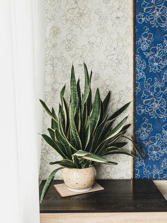 Чайка Art двухкомнатные апартаменты