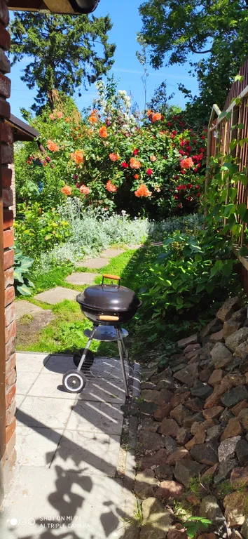 Студия с уютным двориком