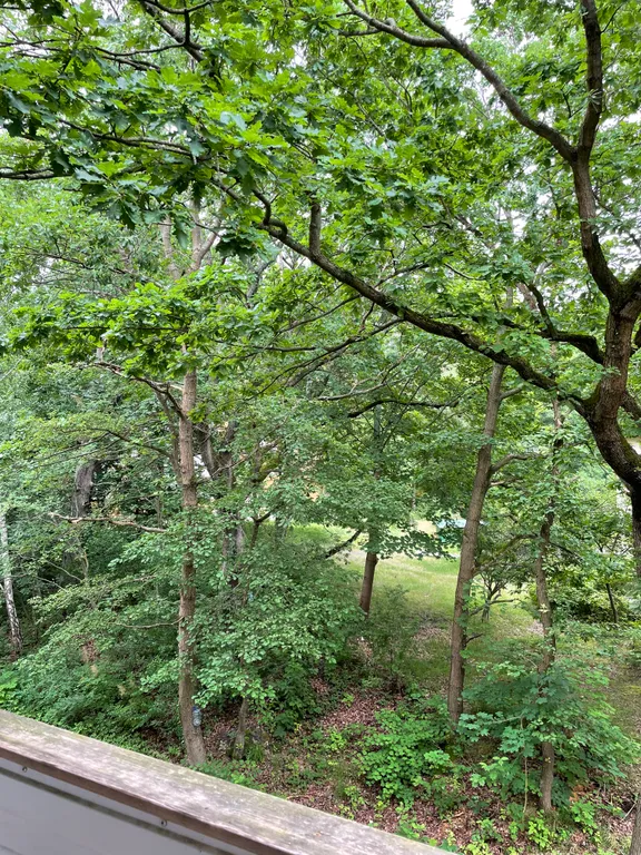 Морской бриз