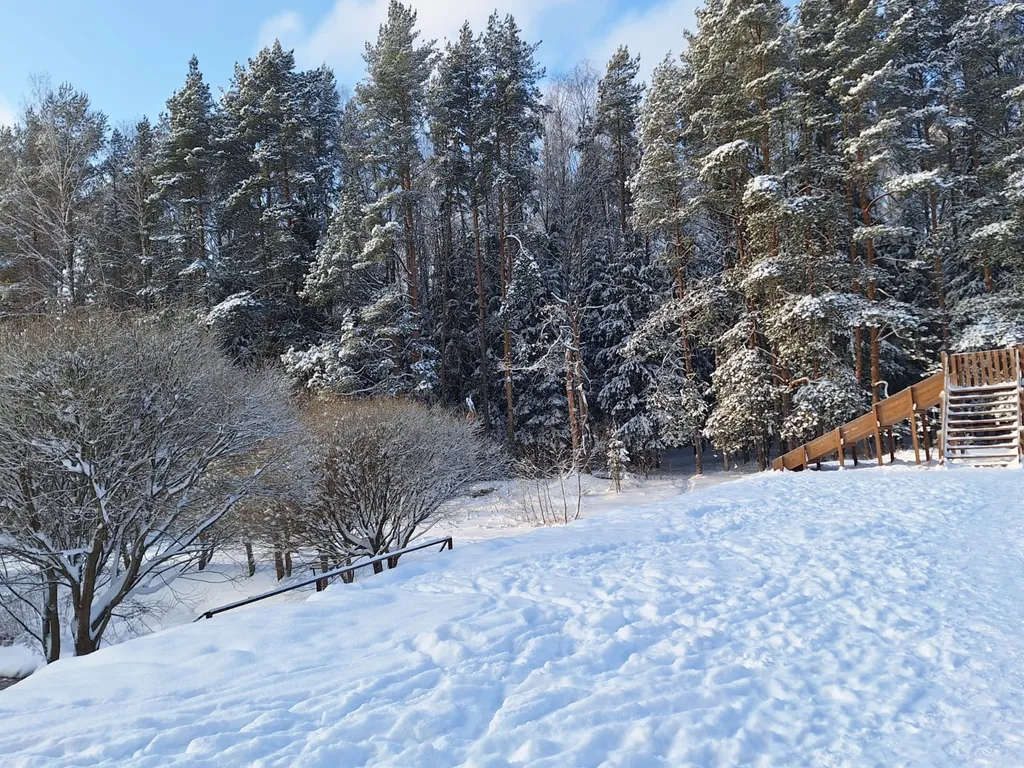 Барнхаус в лесу с розовой гостиной