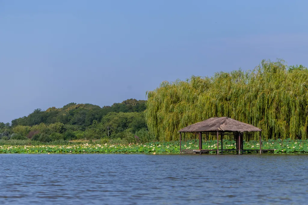 Уютный номер в коттедже с зоной барбекю