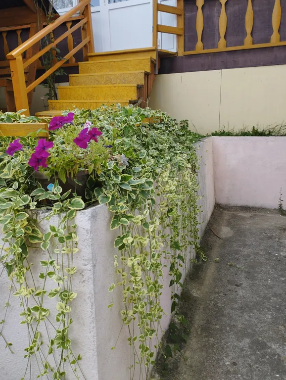 Семейный домик