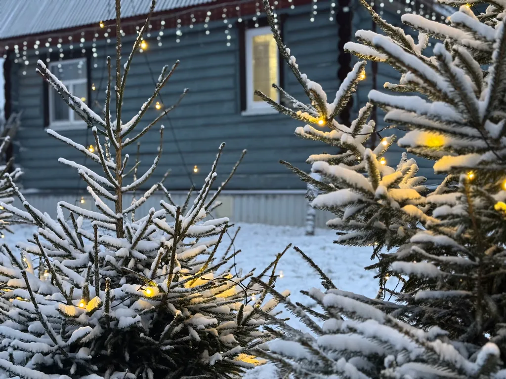 Гостевой дом с баней и прудом в Угличе