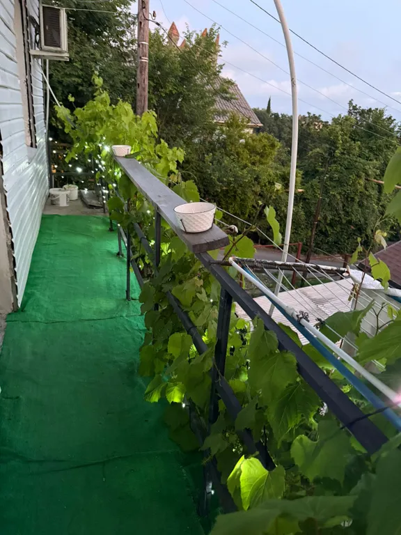 Gold Vino 2х местный номер