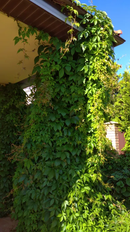 Дом в средиземноморском стиле