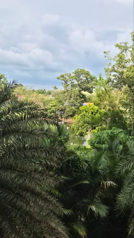 Max comfort near beach in phuket сс320