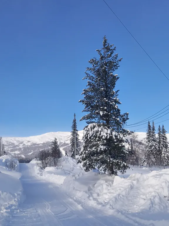 Дом с видом на горы